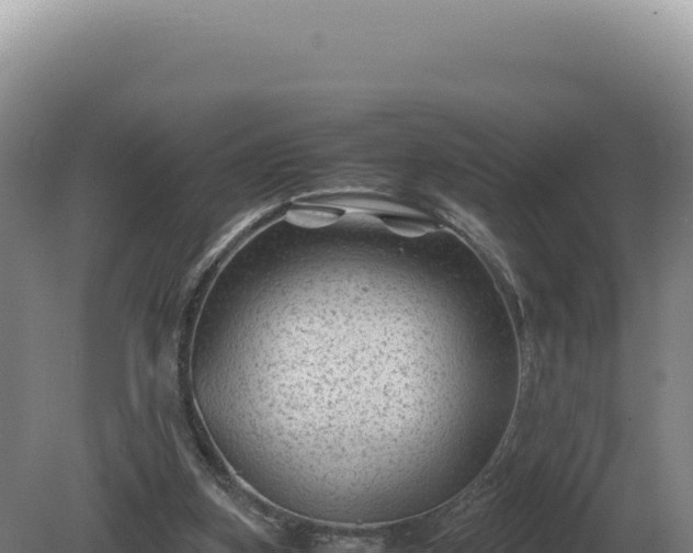 X0000081470155200701191815