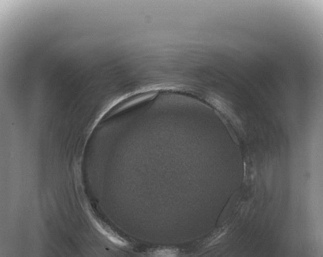 X0000081470156200701191815