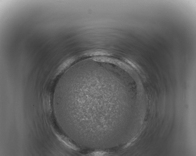 X0000081470158200701191815