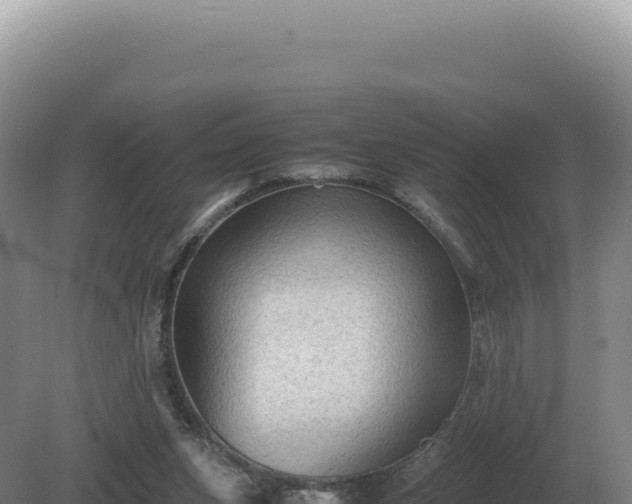 X0000081470159200701191815