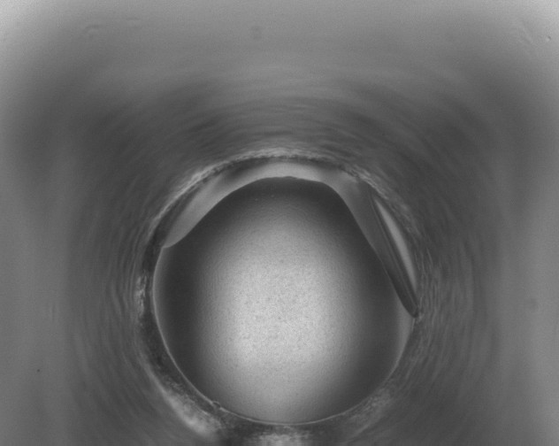 X0000081470160200701191815