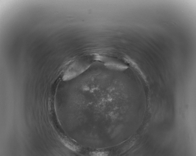 X0000081470161200701191815