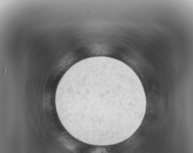 X0000081470162200701191815