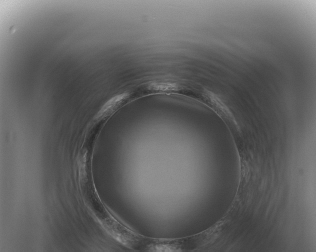 X0000081470163200701191815