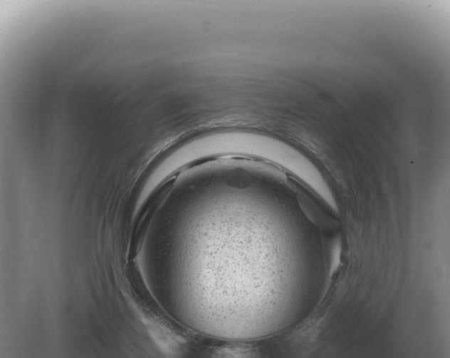 X0000081470164200701191815