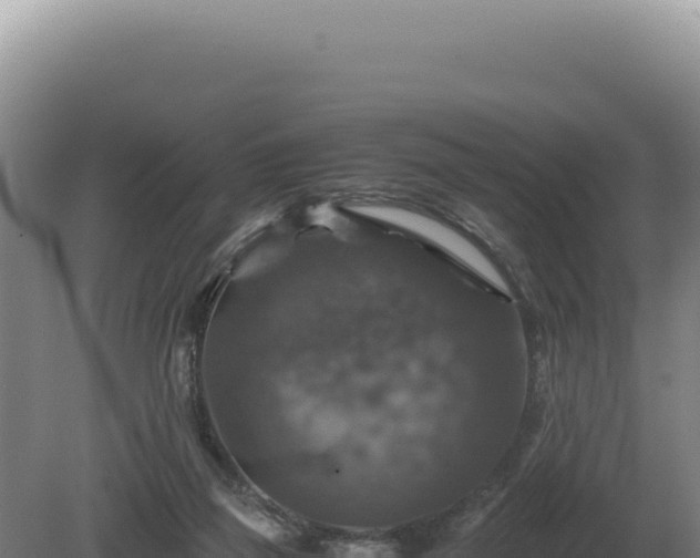 X0000081470165200701191815