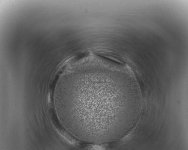 X0000081470166200701191815