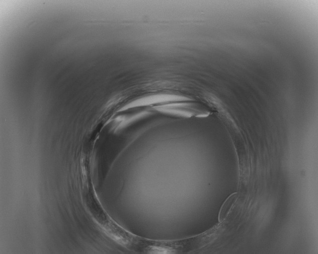 X0000081470167200701191815