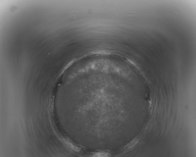 X0000081470168200701191815