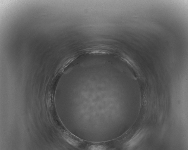 X0000081470169200701191815