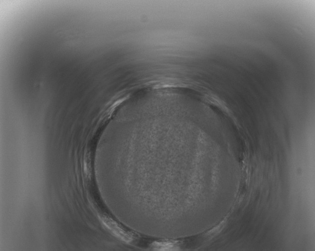 X0000081470170200701191815