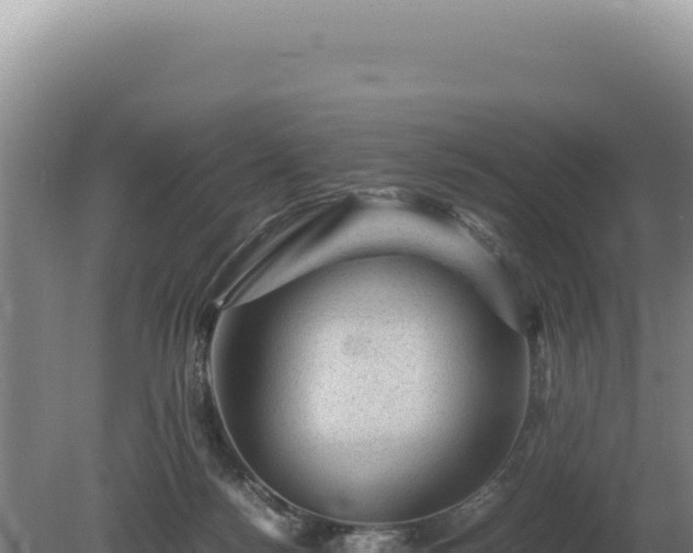 X0000081470172200701191815