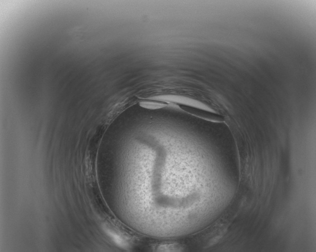 X0000081470173200701191815