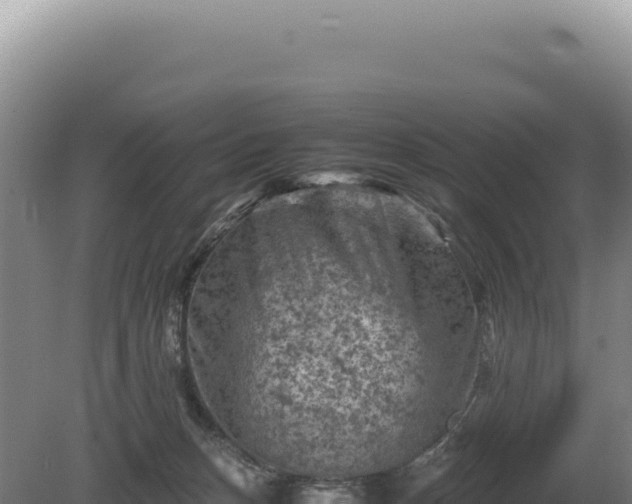 X0000081470175200701191815