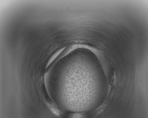 X0000081470176200701191815