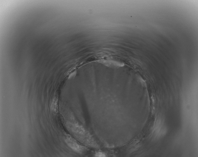 X0000081470177200701191815