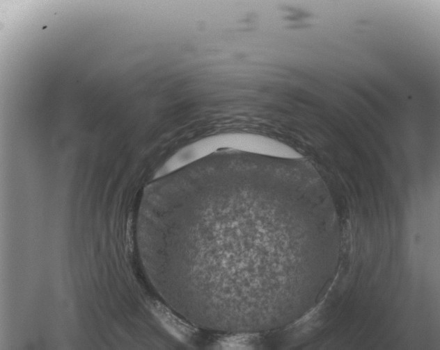 X0000081470178200701191815