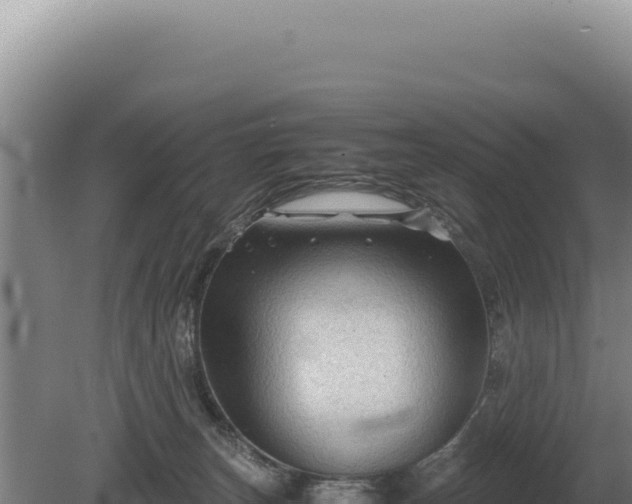 X0000081470179200701191815