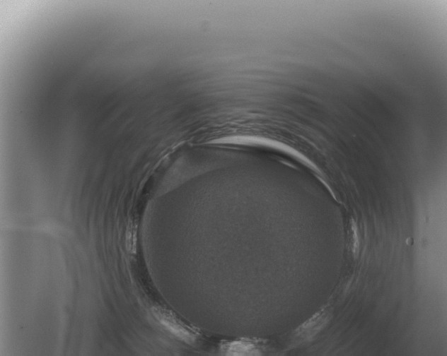 X0000081470180200701191815