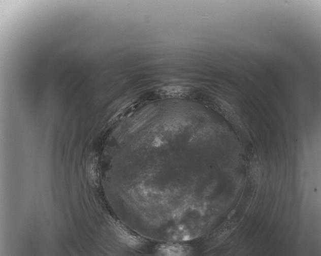 X0000081470181200701191815