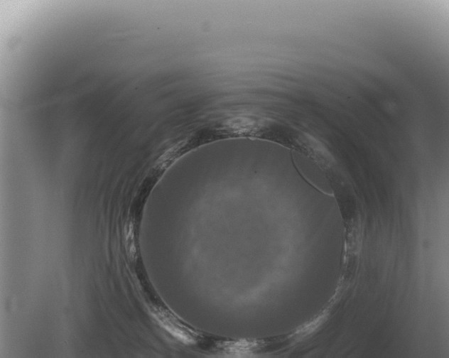 X0000081470182200701191815