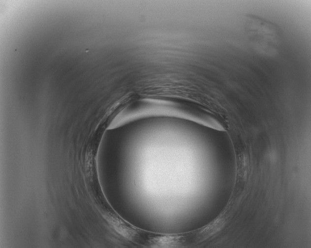 X0000081470184200701191815