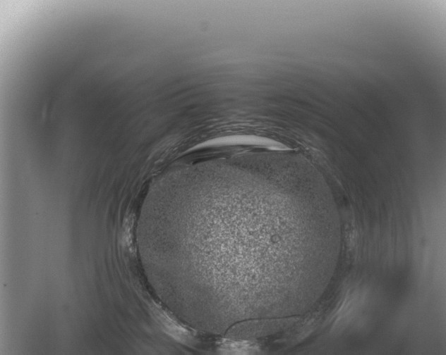 X0000081470185200701191815