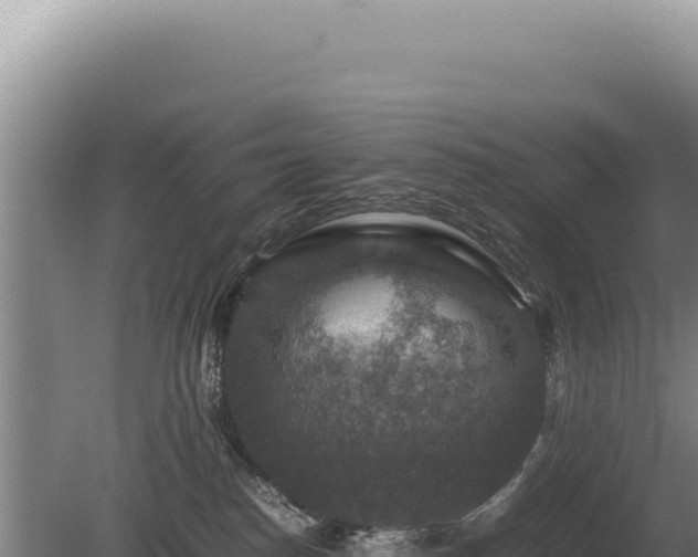 X0000081470186200701191815