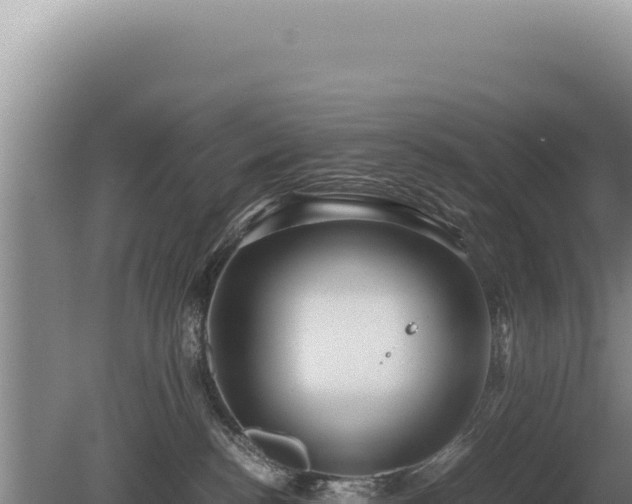 X0000081470188200701191815