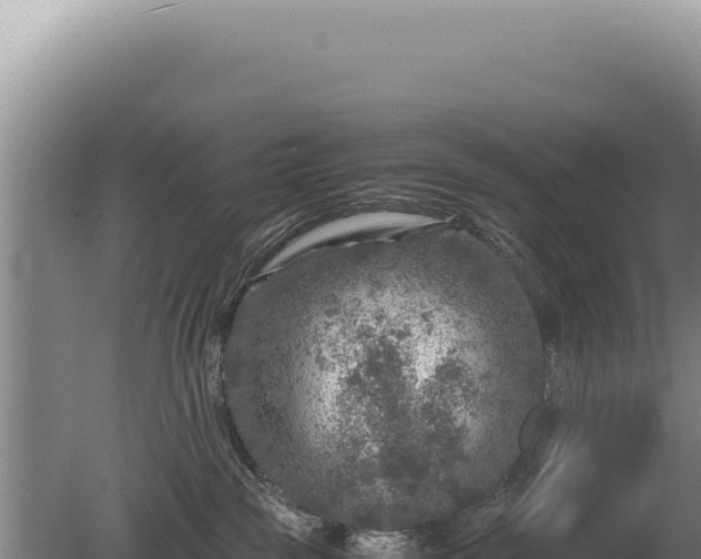 X0000081470189200701191815