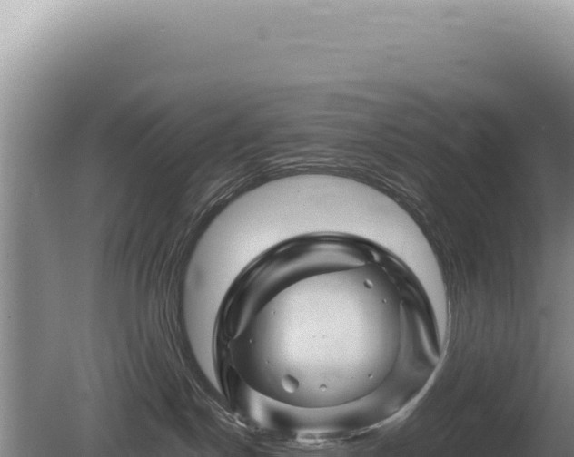 X0000081470190200701191815