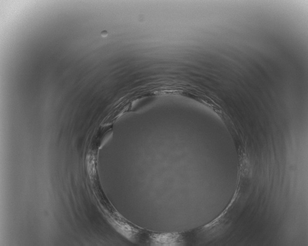 X0000081470191200701191815