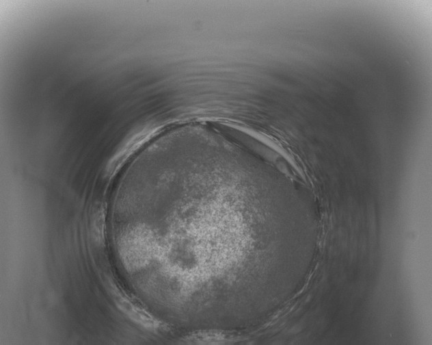 X0000081470194200701191814