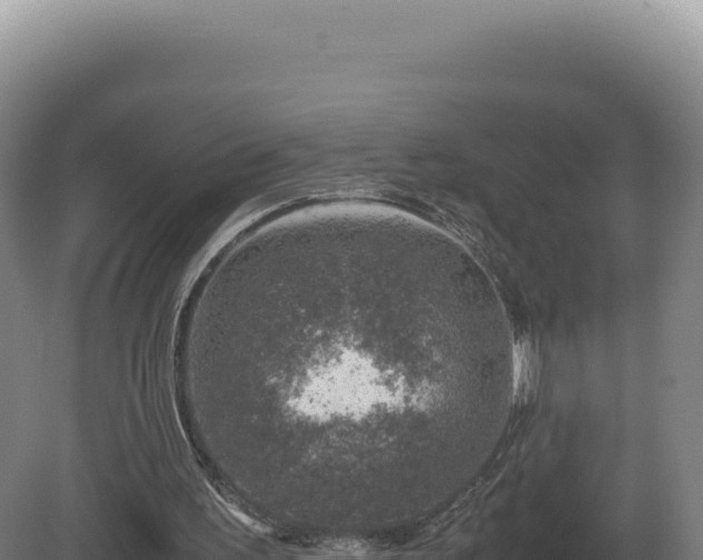 X0000081470195200701191814