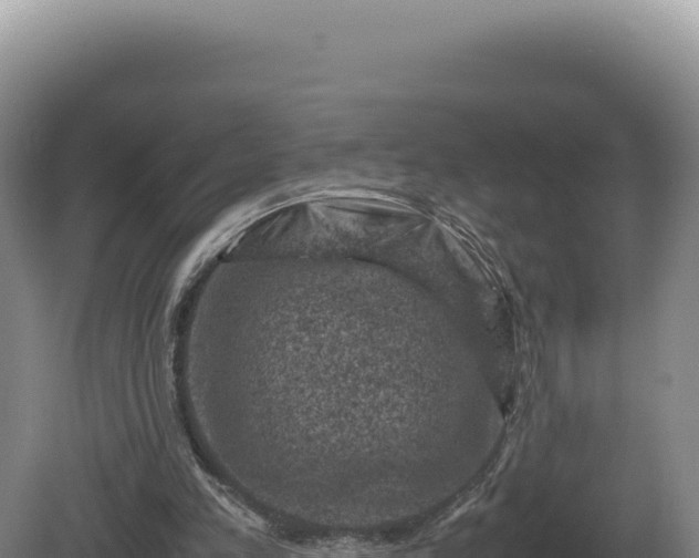 X0000081470197200701191814