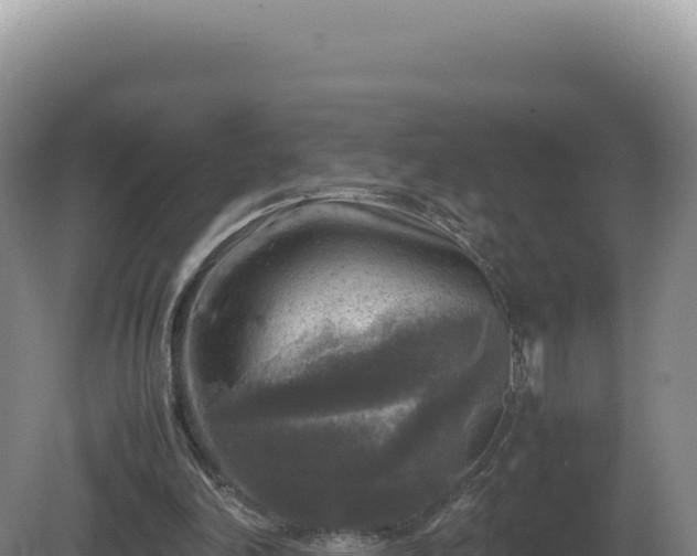 X0000081470198200701191814