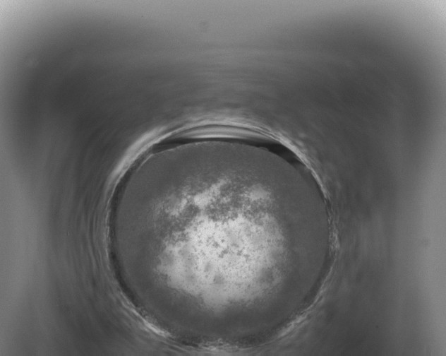 X0000081470199200701191814