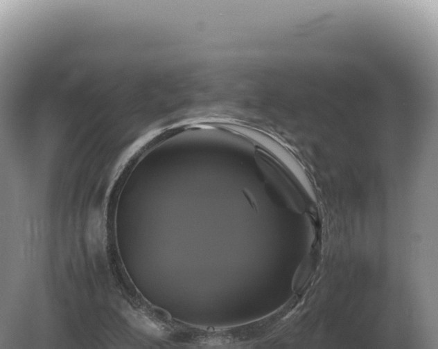 X0000081470200200701191814