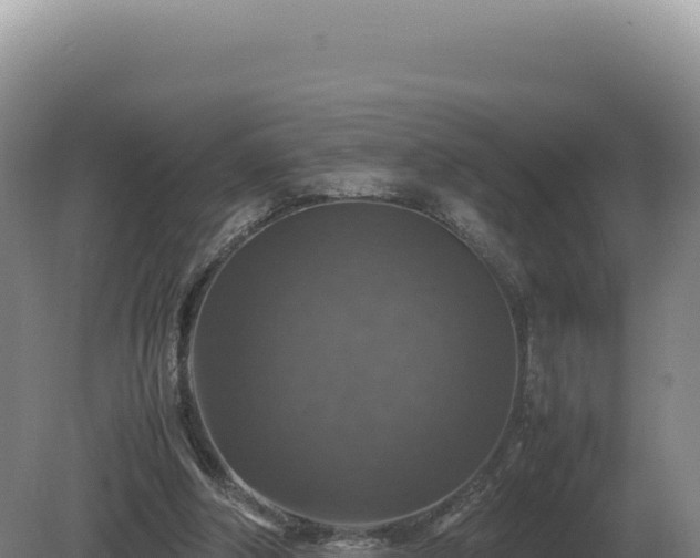 X0000081470202200701191814