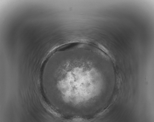 X0000081470203200701191814