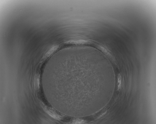 X0000081470206200701191814