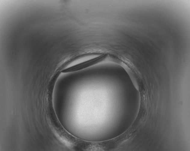 X0000081470207200701191814