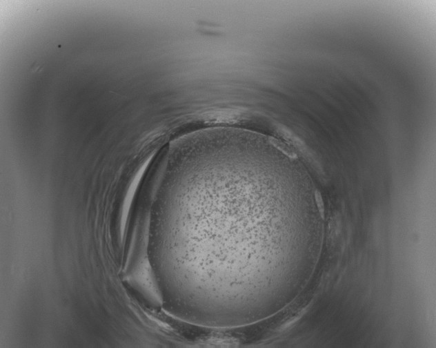 X0000081470209200701191814