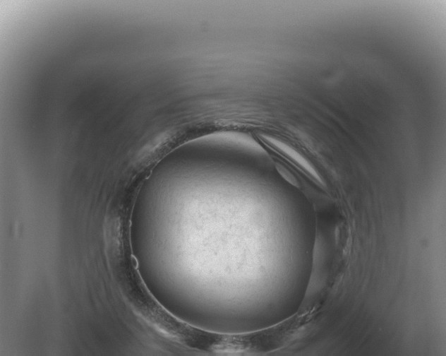 X0000081470211200701191814