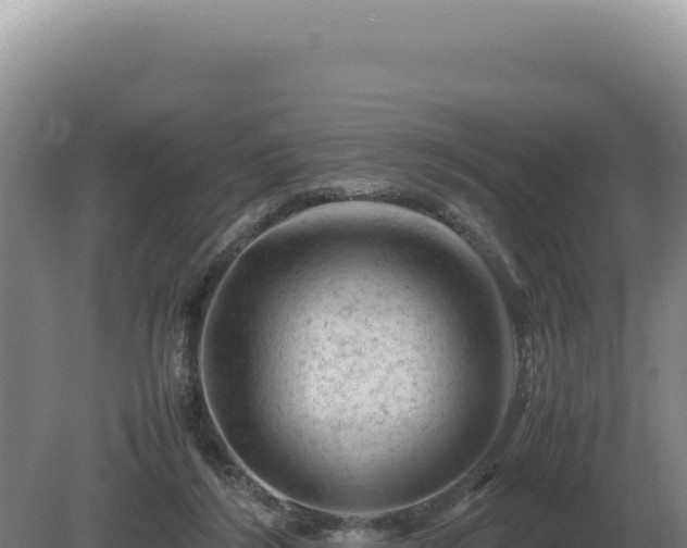 X0000081470212200701191814