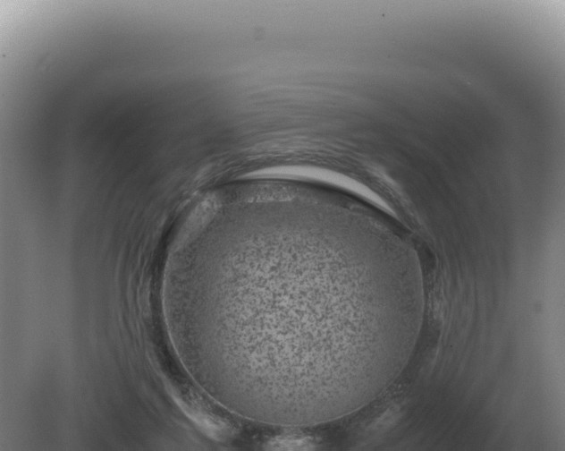 X0000081470213200701191814