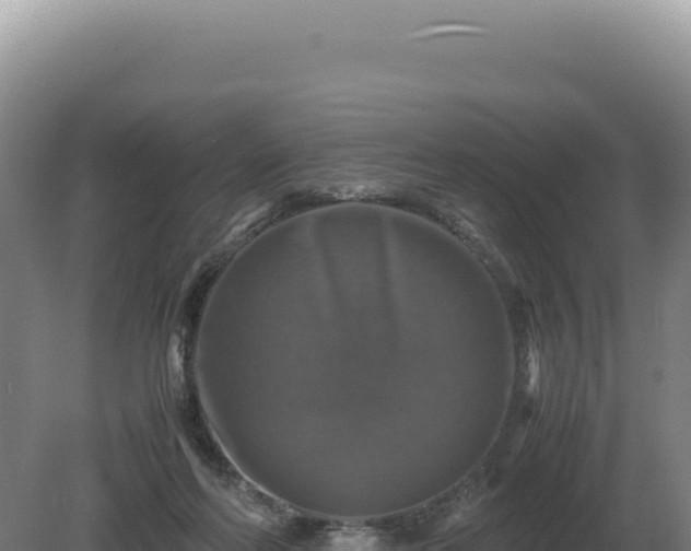 X0000081470214200701191814