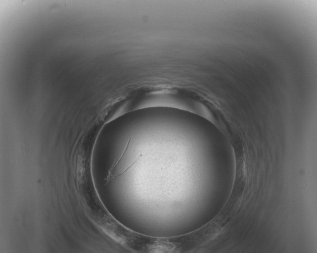 X0000081470215200701191814