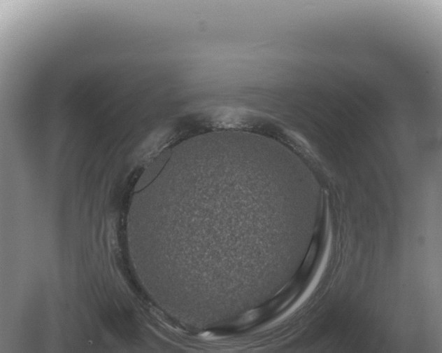 X0000081470217200701191814