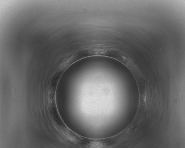 X0000081470218200701191814